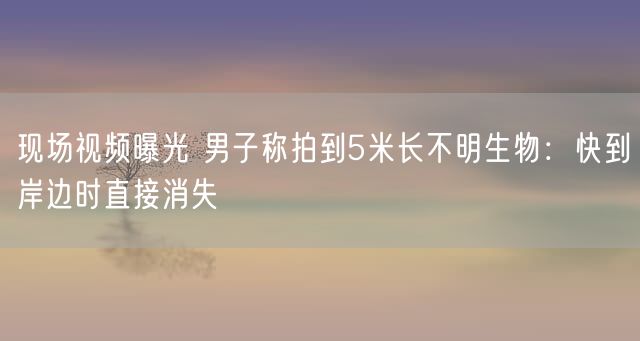 现场视频曝光 男子称拍到5米长不明生物：快到岸边时直接消失