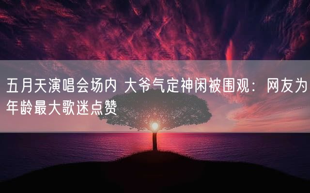 五月天演唱会场内 大爷气定神闲被围观：网友为年龄最大歌迷点赞