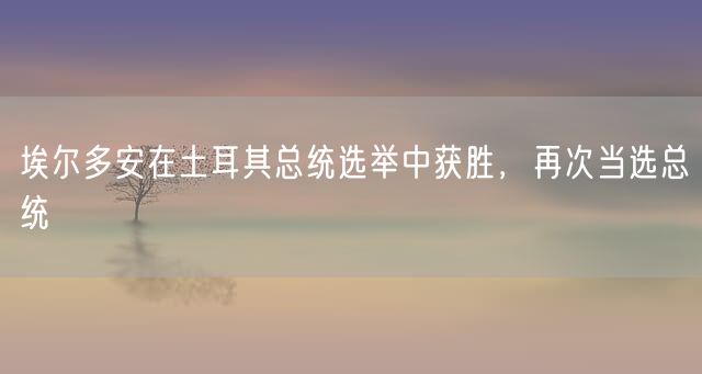 埃尔多安在土耳其总统选举中获胜,再次当选总统