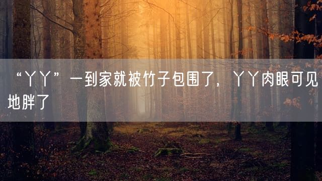 “丫丫”一到家就被竹子包围了，丫丫肉眼可见地胖了