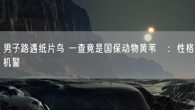 男子路遇纸片鸟 一查竟是国保动物黄苇鳽:性格机警