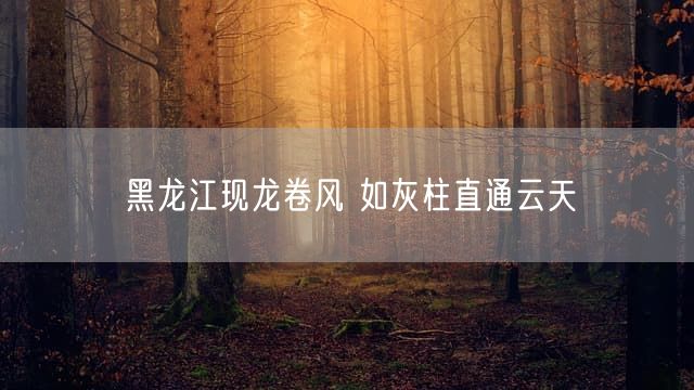 黑龙江现龙卷风 如灰柱直通云天