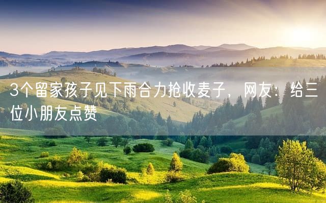 3个留家孩子见下雨合力抢收麦子，网友：给三位小朋友点赞