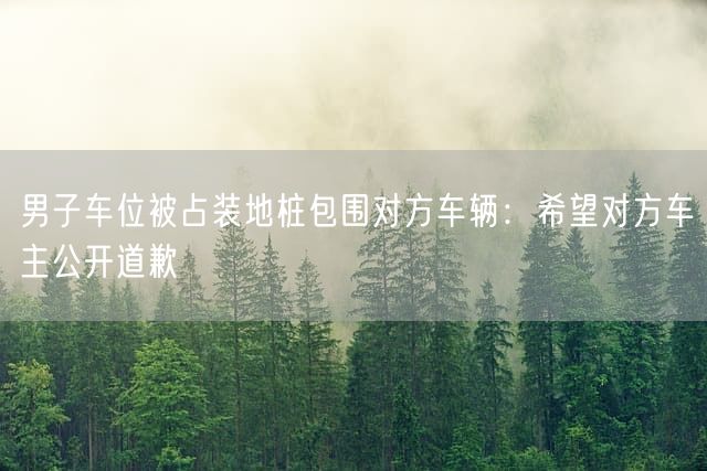 男子车位被占装地桩包围对方车辆:希望对方车主公开道歉