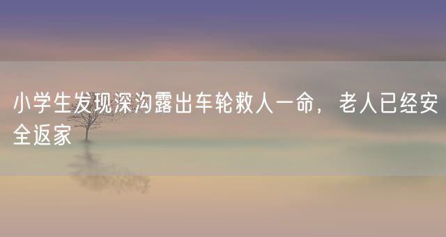 小学生发现深沟露出车轮救人一命，老人已经安全返家