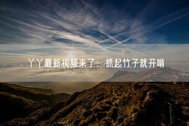 丫丫最新视频来了：抓起竹子就开啃