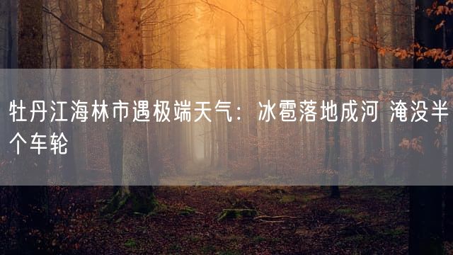 牡丹江海林市遇极端天气：冰雹落地成河 淹没半个车轮