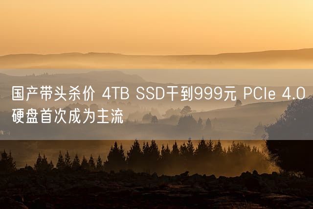 国产带头杀价 4TB SSD干到999元 PCIe 4.0硬盘首次成为主流
